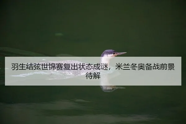 羽生结弦世锦赛复出状态成谜，米兰冬奥备战前景待解
