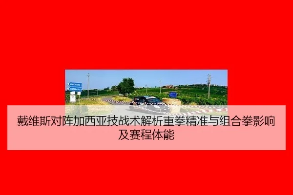 戴维斯对阵加西亚技战术解析重拳精准与组合拳影响及赛程体能