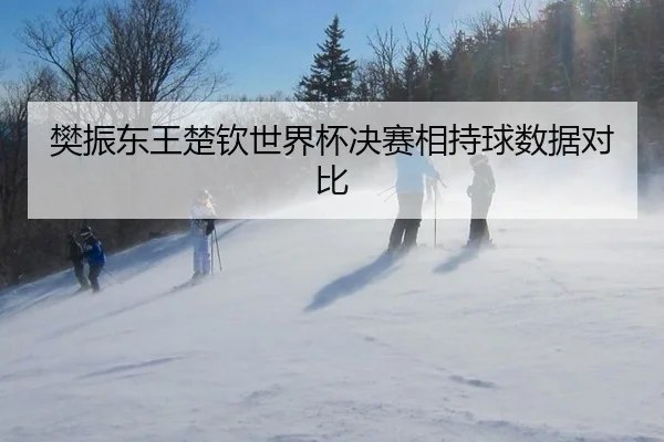 樊振东王楚钦世界杯决赛相持球数据对比