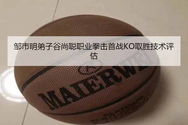 邹市明弟子谷尚聪职业拳击首战KO取胜技术评估